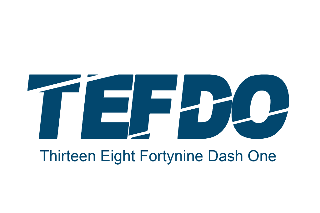 tefdo logo