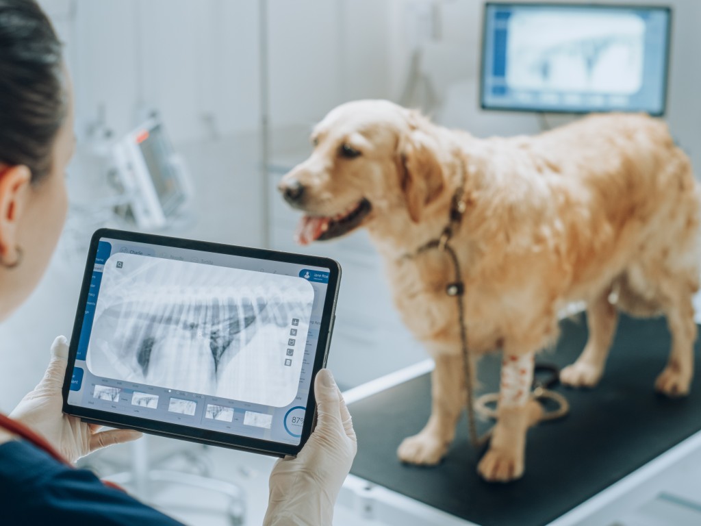 Tiermedizinische Röntgengeräte