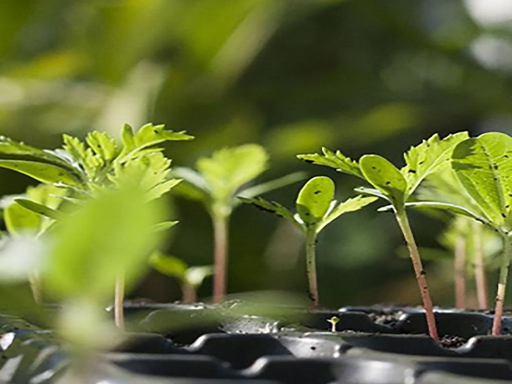 Biodegradability Testing