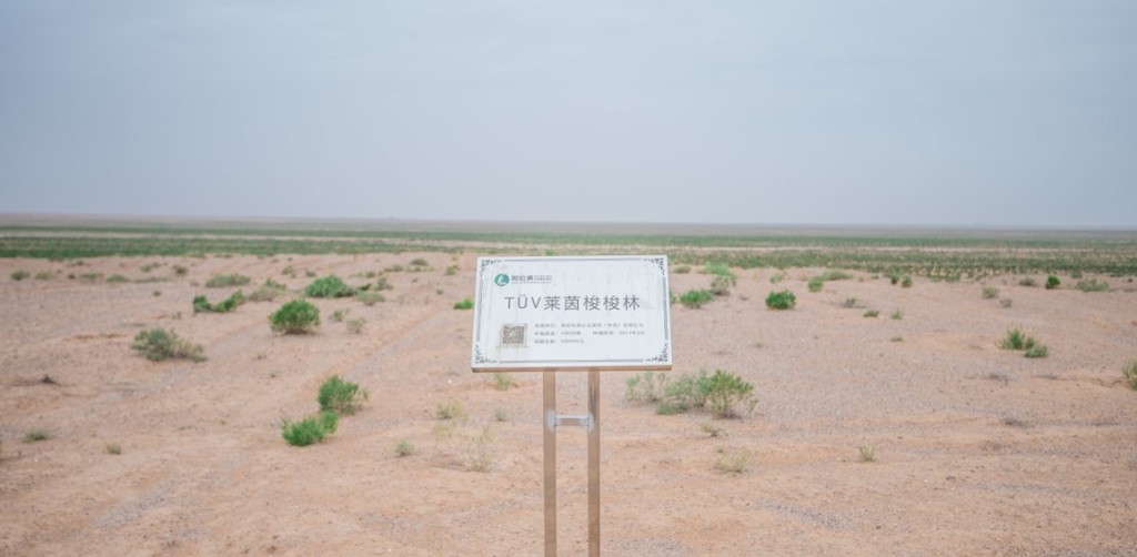21-Day Charity Challenge for Growing Environmental Awareness among Staff Members
