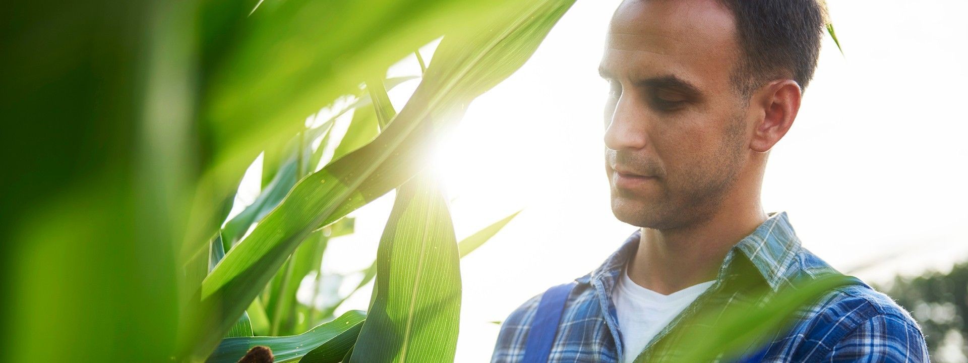 Sicurezza e sostenibilità. Soluzioni di certificazione per il settore food!