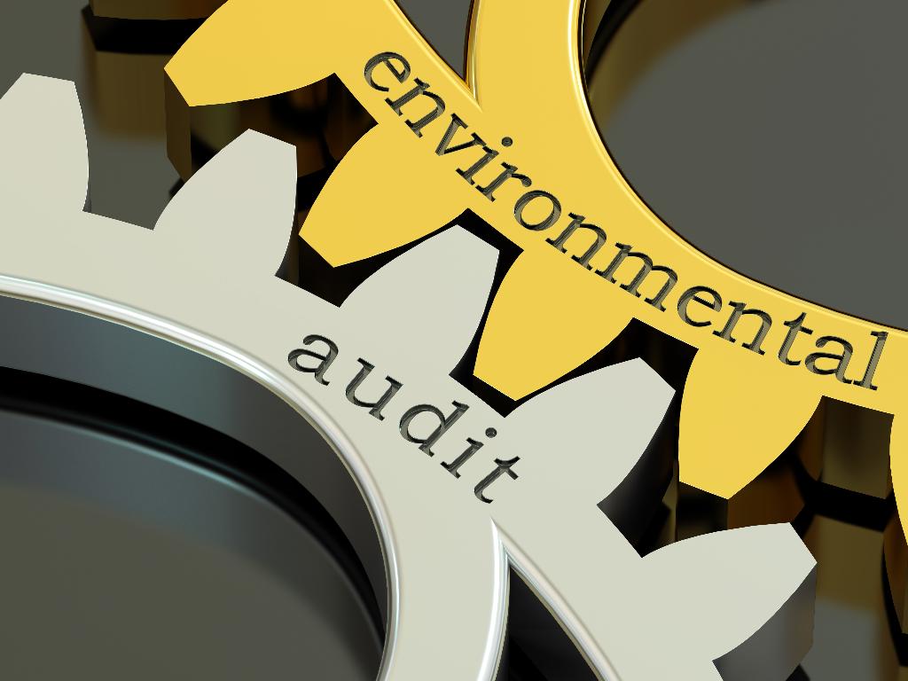 Auditing Services for Sales of Kyoto Units