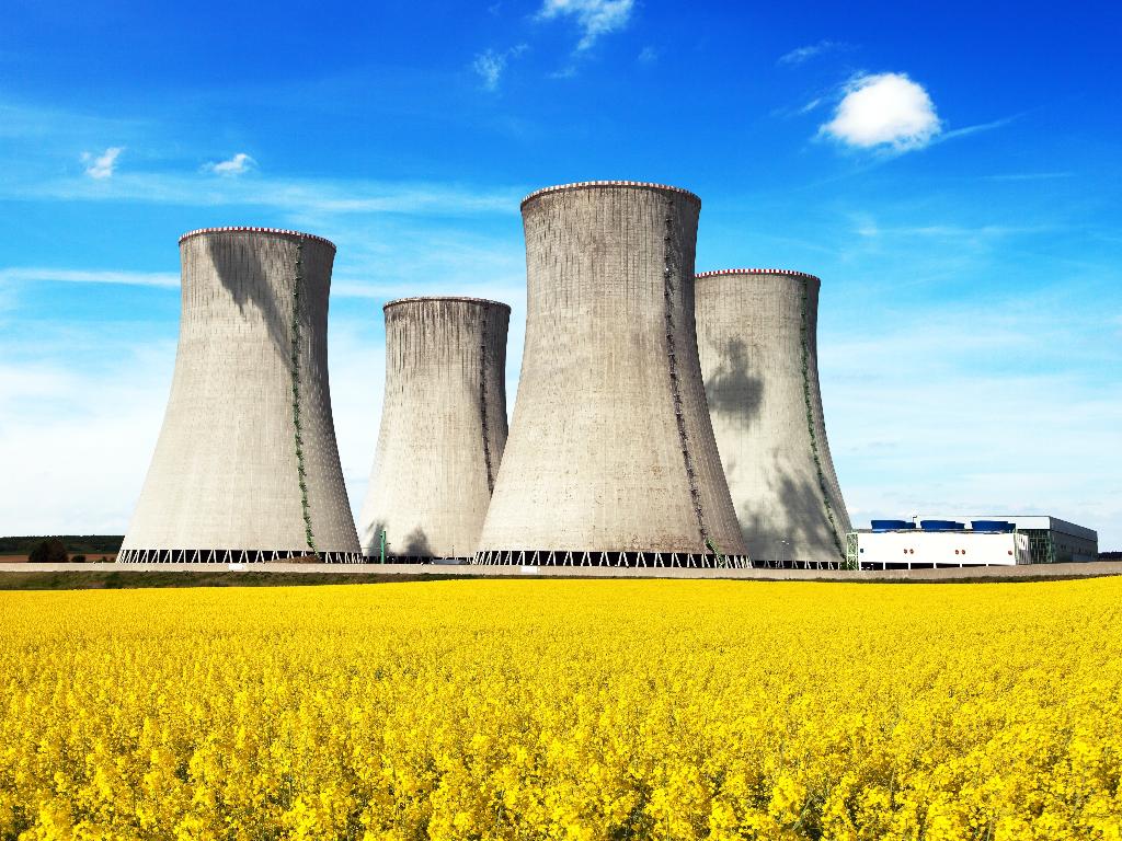 Extensive Inspection Services for Nuclear Power Plant