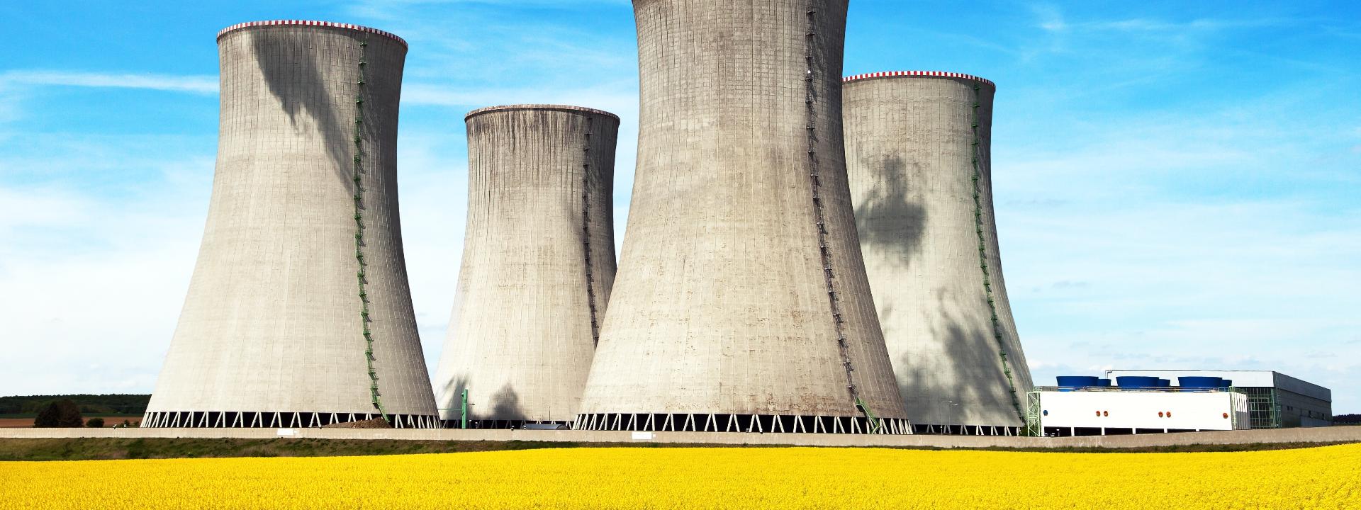 Extensive Inspection Services for Nuclear Power Plant