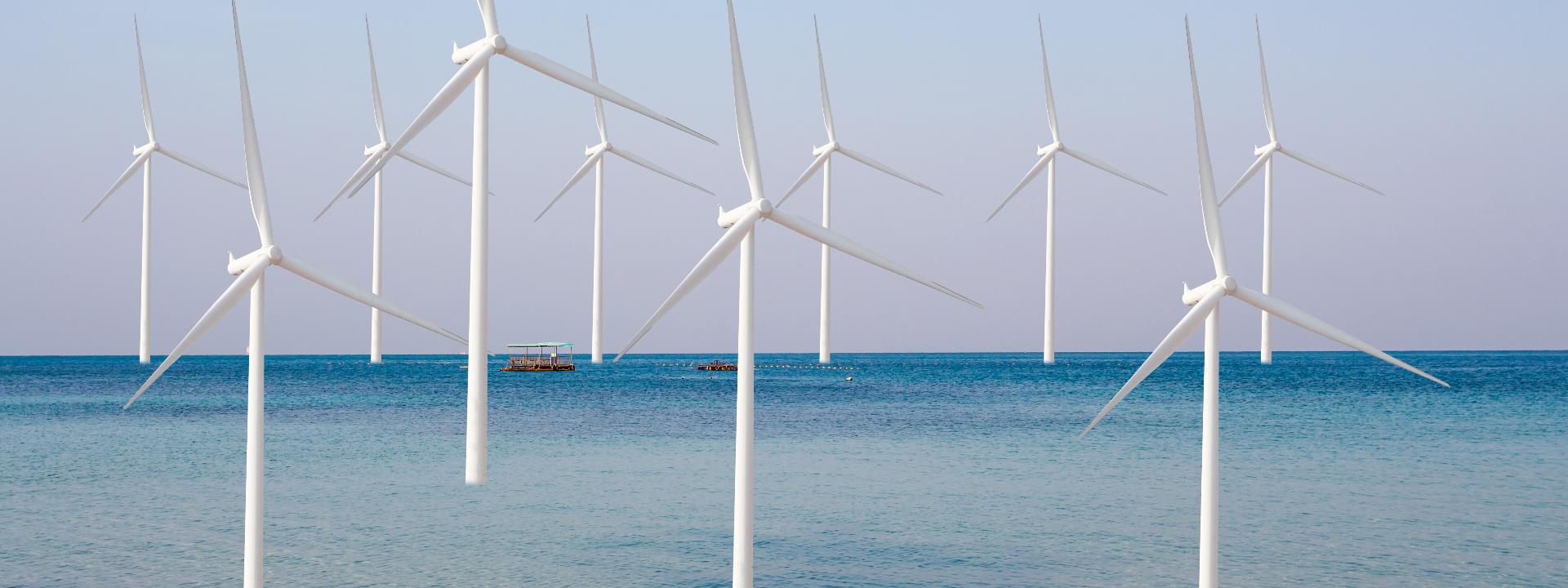 Inspection and Production for the Offshore Wind Farm