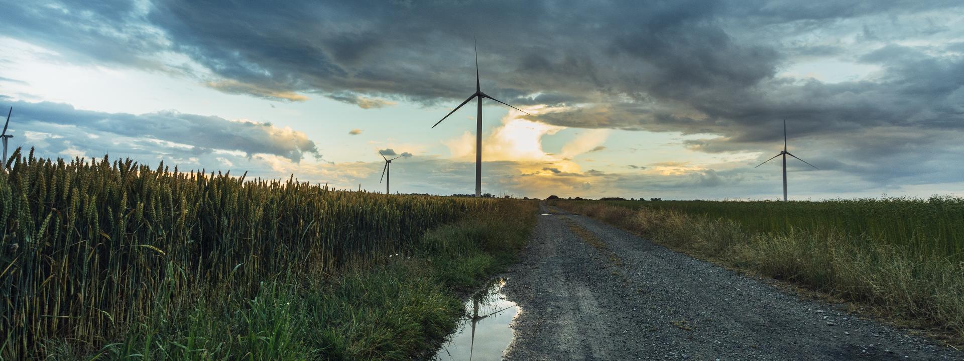 Assessment of Meteorological Site Conditions