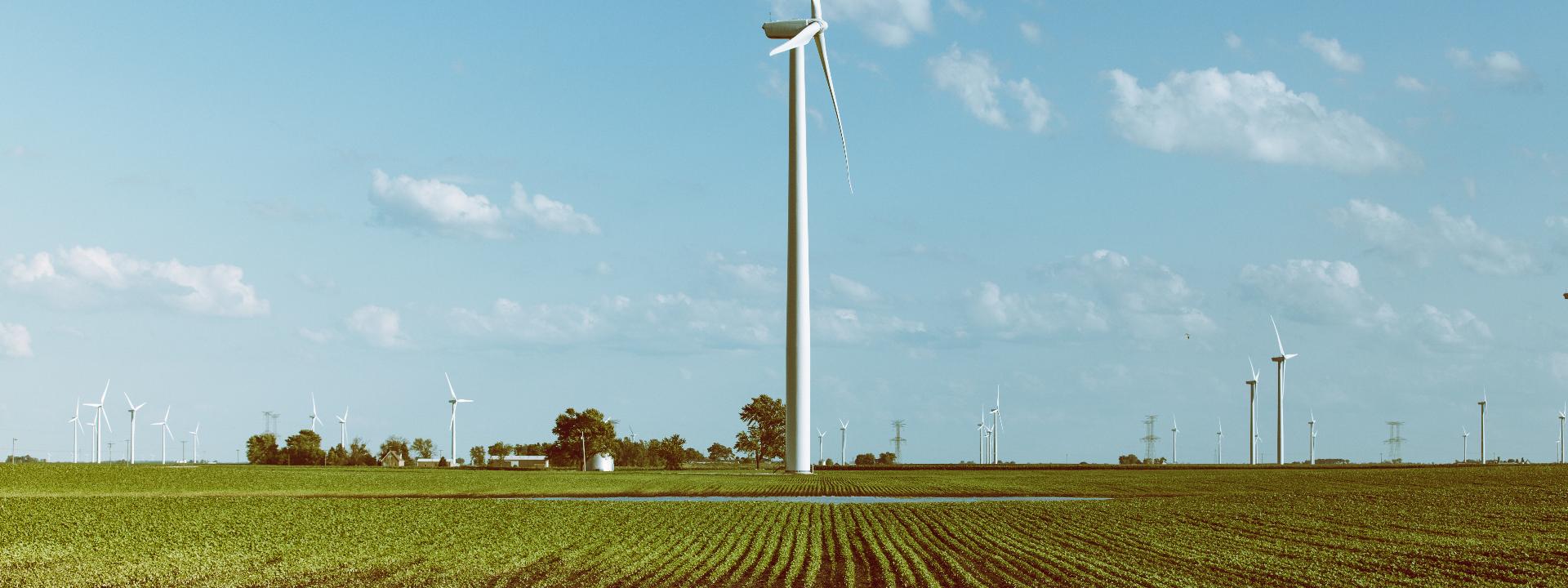 Wind and Energy Yield Assessment for Meerwind