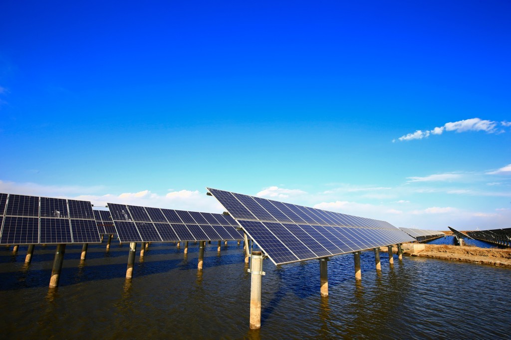 Unser Service sichert den zuverlässigen Betrieb von PV-Modulen im Feld