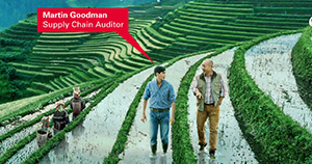 Supply Chain Audits