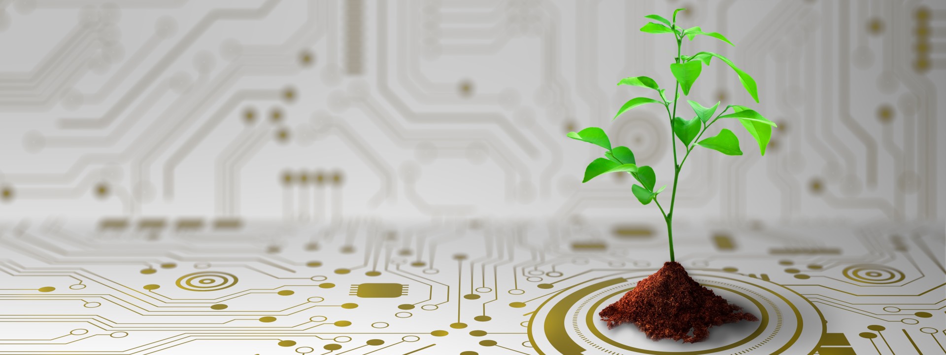 Sustainable Electrical Products