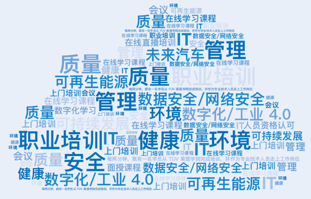 我们重点关注质量管理、环境管理、IT 安全和数据保护以及未来的课题 - 例如智能工厂