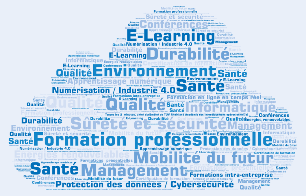 Qualité de la gestion, gestion de l'environnement, sécurité informatique, protection des données, questions futures incluant Smart Factory.