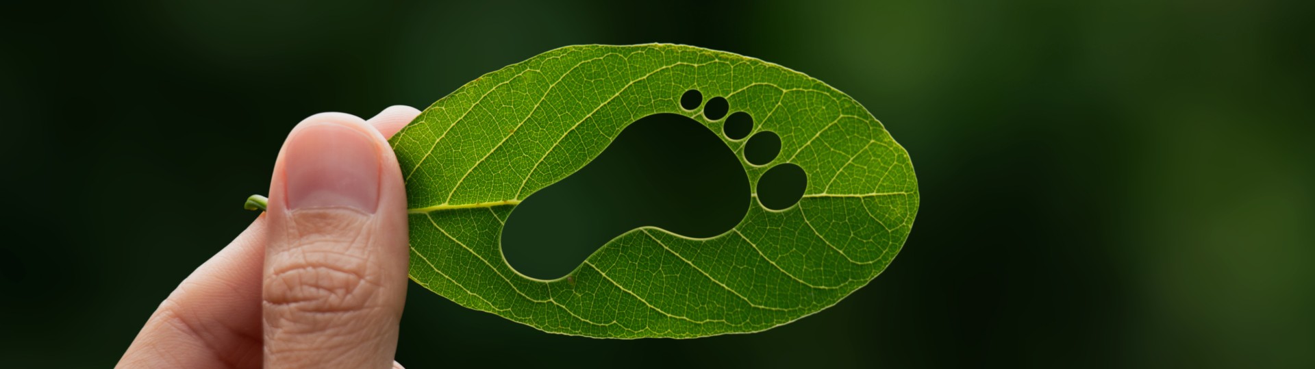 Sustainability Trainings | Climate Protection | TÜV Rheinland Academy