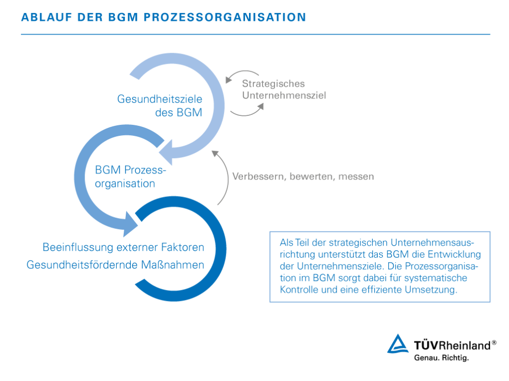 Ablauf der BGM Prozessorganisation Gesundheitsmanagement im Betrieb | TÜV Rheinland