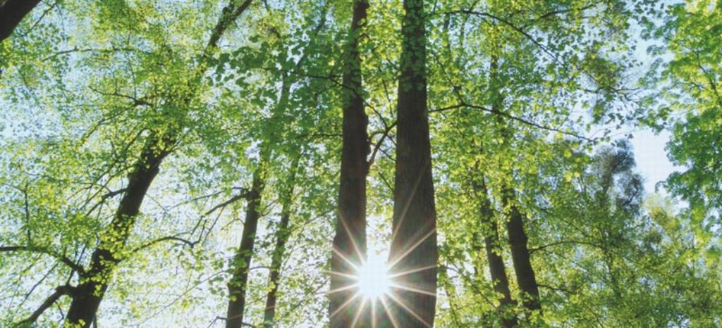 Carbon Management – TÜV Rheinland