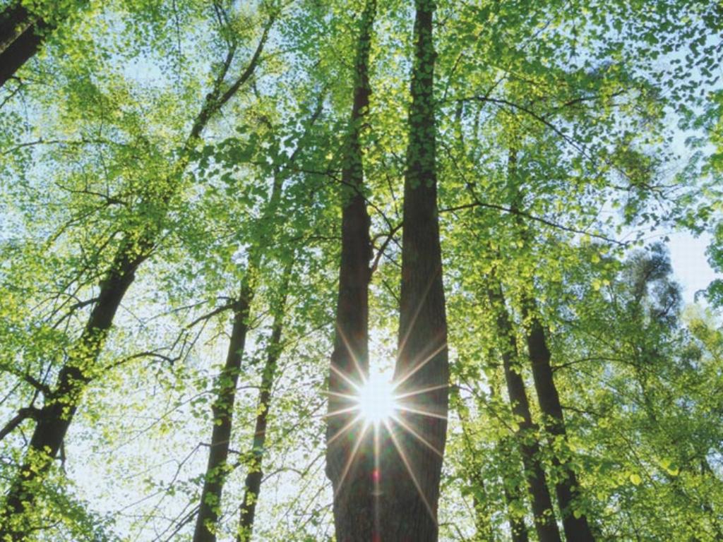 Carbon Management – TÜV Rheinland