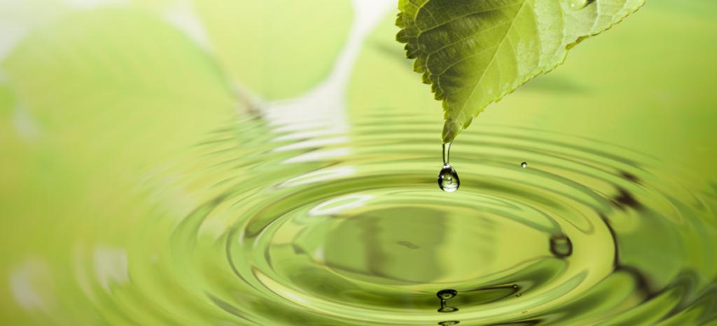 Water Footprint Verification Services