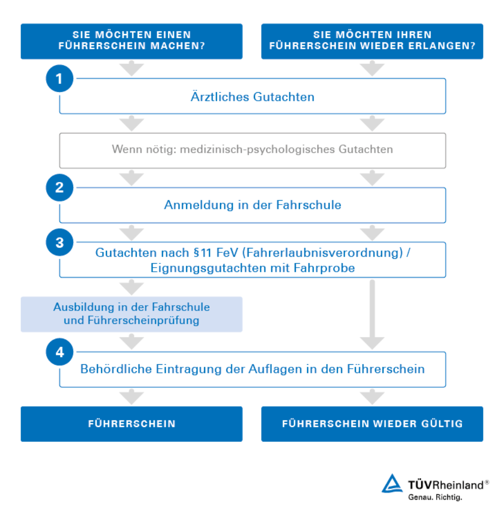 Das alles steht im Führerschein