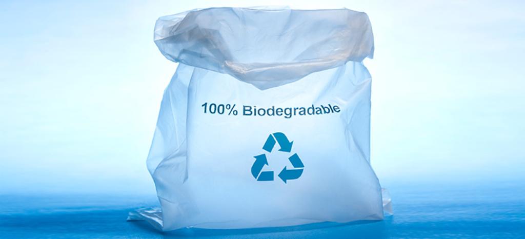 Biodegradability Testing