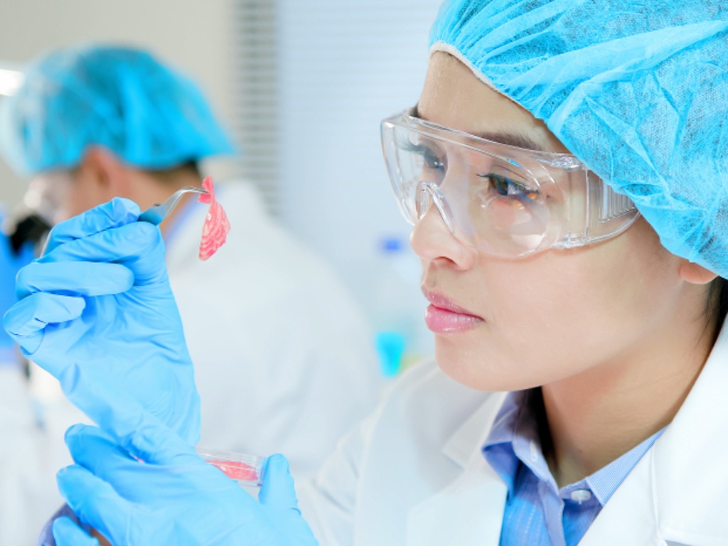 Benefit from our testing and technical services to manage the food safety hazards of your Food Contact Material products, processing lines and production sites.