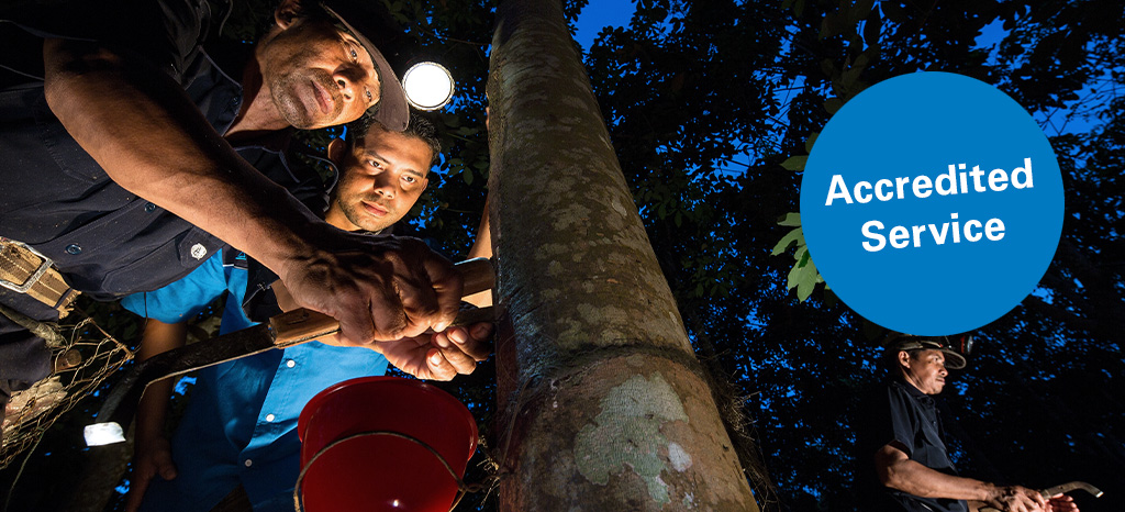 Certification According To Globalg A P Wo Tüv Rheinland