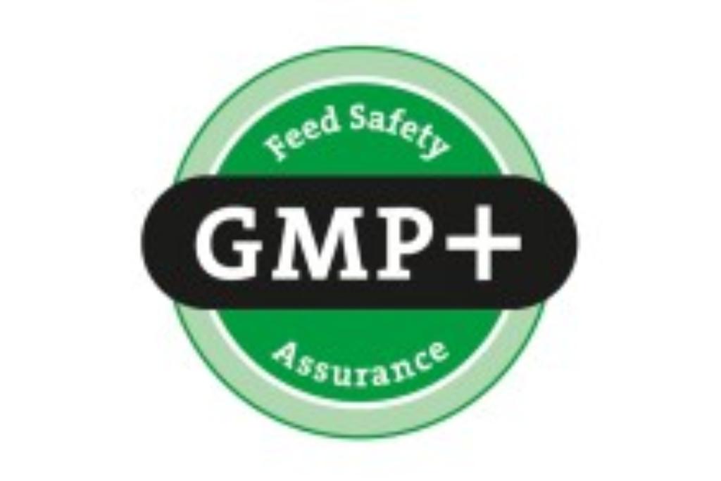 Certification According To Gmp Ro Tuv Rheinland