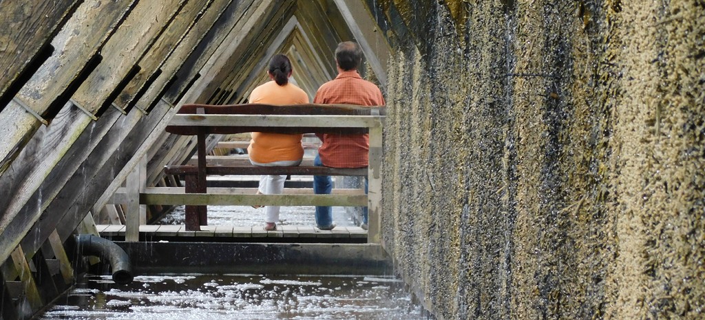 Bayerisches Heilbäder-Verband: BHV Zertifizierung für allergikerfreundliche Kurorte | TÜV Rheinland