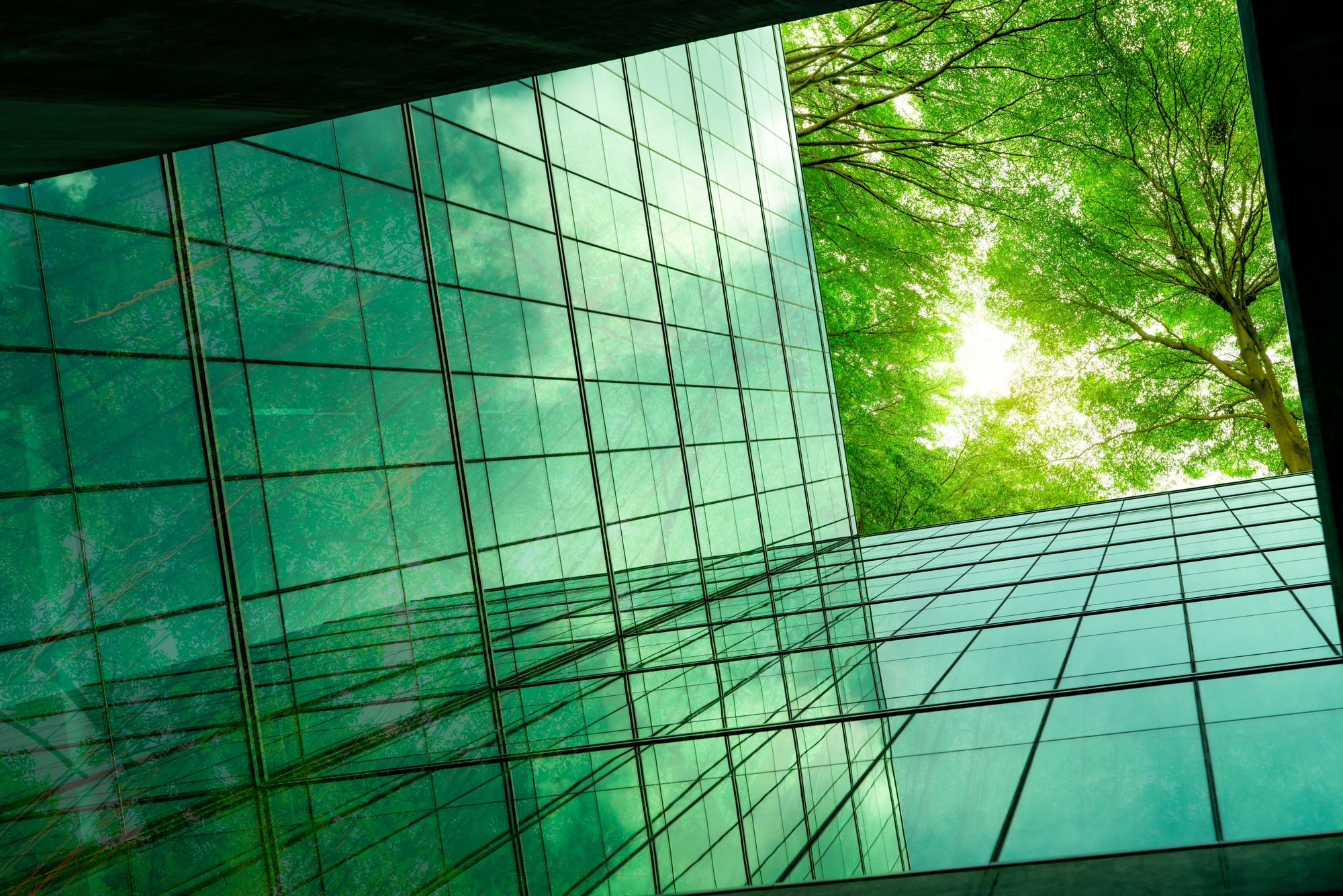 Sustainability and ESG Assurance
