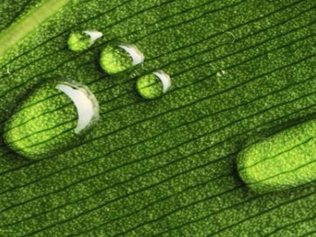 Huella de Carbono Foort print