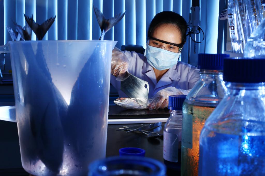 Seguridad alimentaria