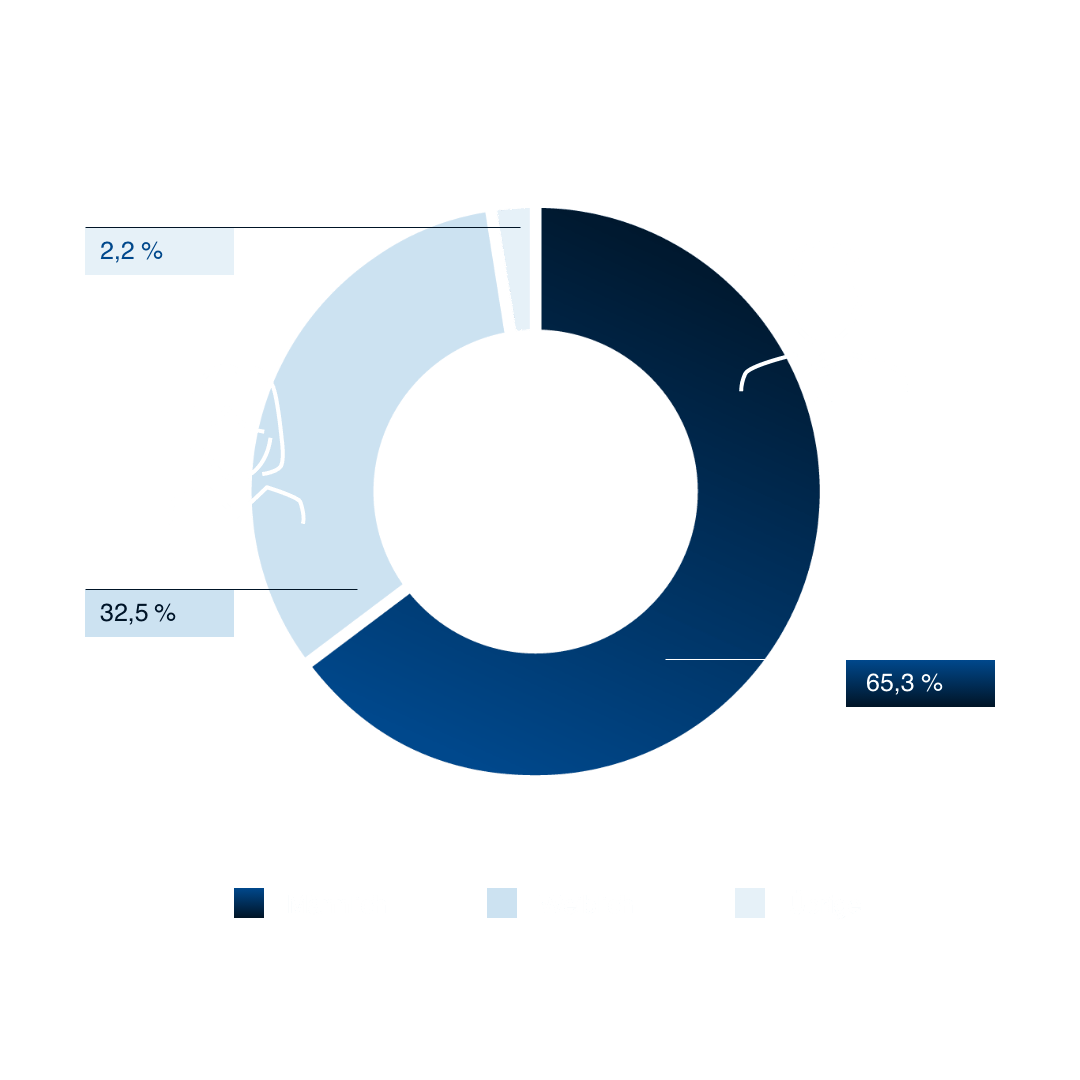 Diagramm zeigt TÜV Rheinland Geschlechterverteilung der Mitarbeitenden: 65,3 % männlich, 32,5 % weiblich, 2,2 % Übrige
