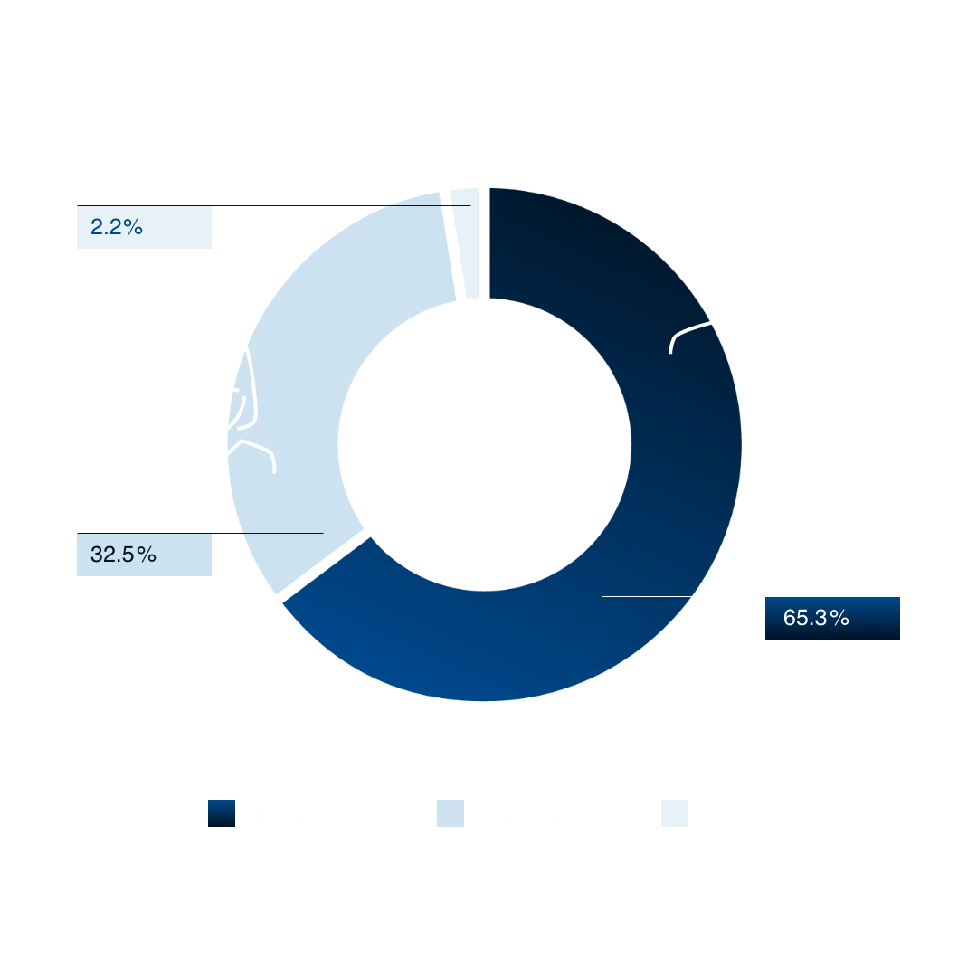 Chart showing TÜV Rheinland employee gender distribution: 65.3% male, 32.5% female, 2.2% unknown